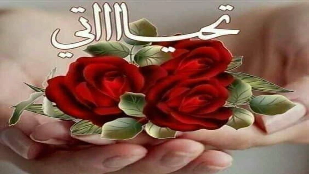 صورة عبارات ترحيب قصيرة جدًا