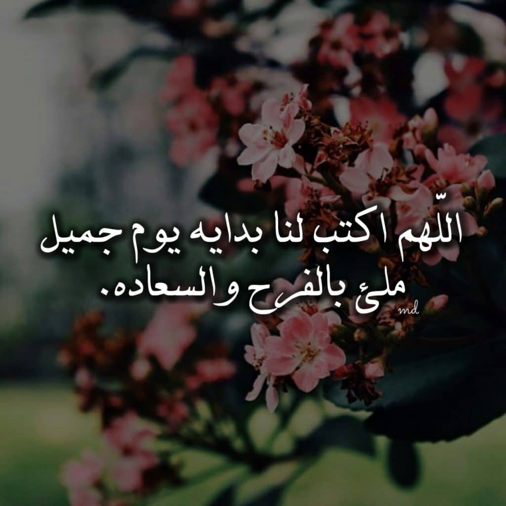 عبارات ترفيهية