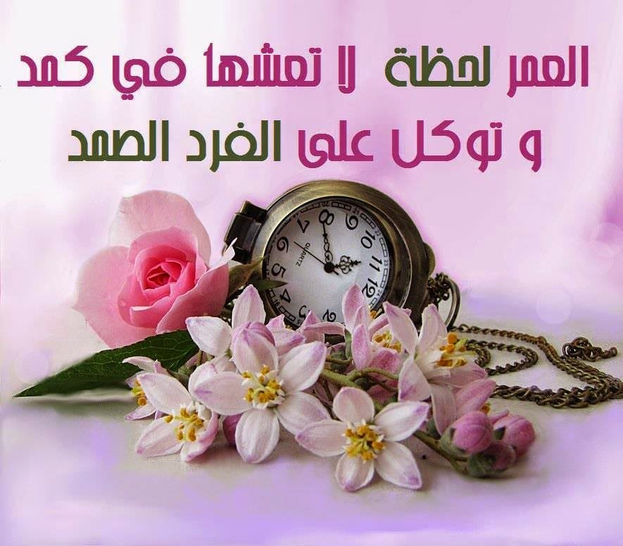عبارات تكتب على الصور الشخصية للشباب