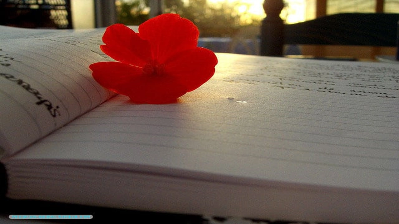 صورة عبارات تكتب في دفتر الذكريات