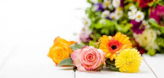 عبارات تهنئة بالانجاز