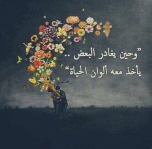 عبارات توديع مسافر