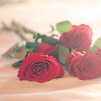 عبارات ثقافية للواتس