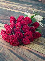 عبارات ثقافية للواتس