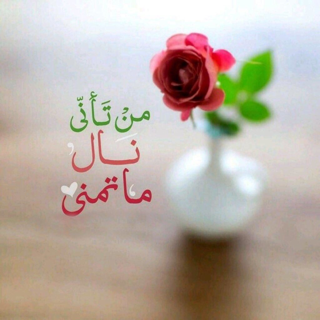 عبارات جميلة جدا ومؤثرة