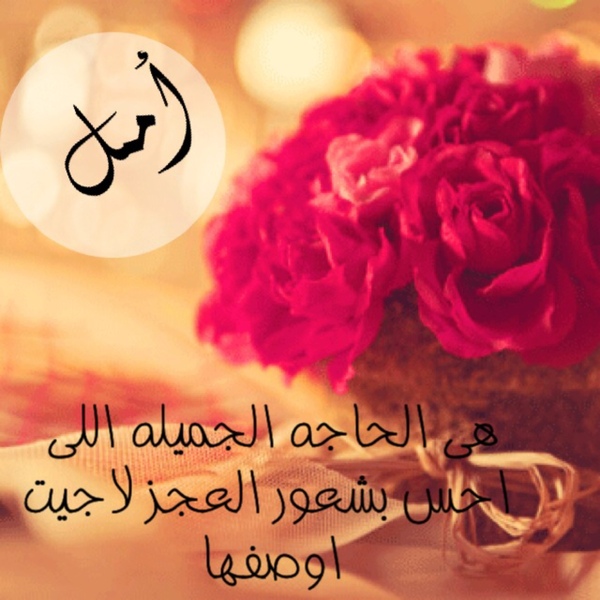 عبارات جميلة جدا ومؤثرة