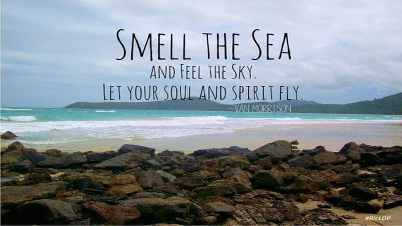 صورة عبارات جميلة عن البحر بالانجليزي