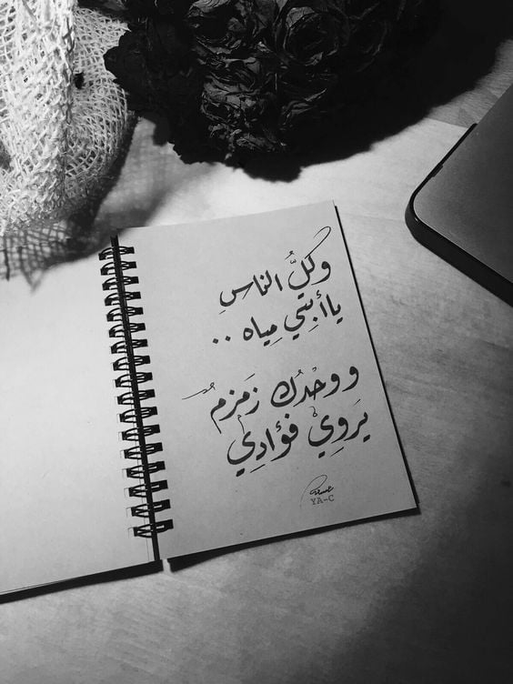 عبارات جميلة