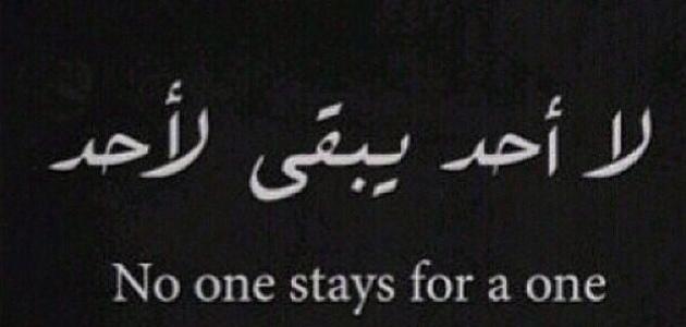عبارات جميلة