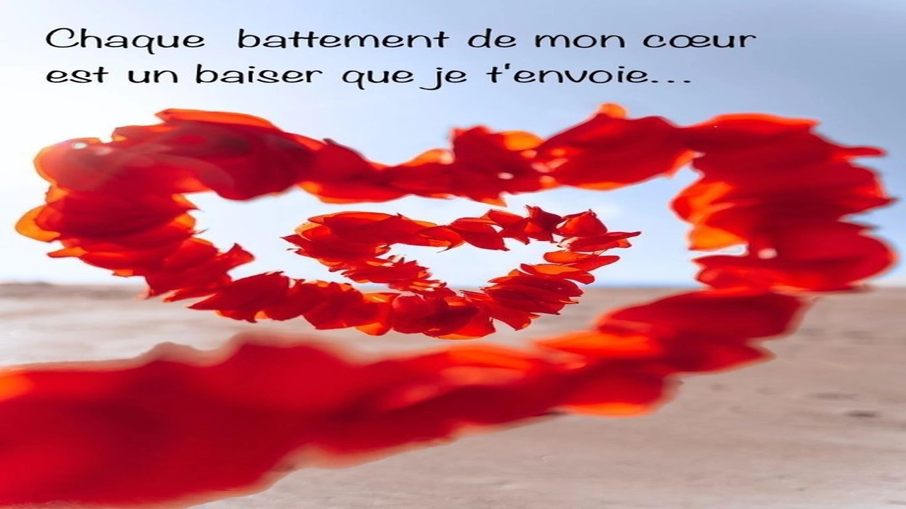 صورة عبارات حب بالفرنسية مترجمة بالعربية