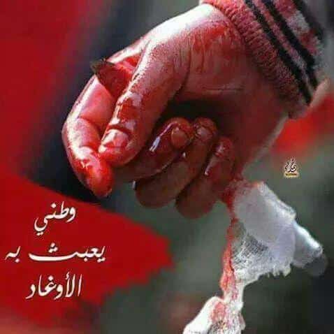 عبارات حزينة عن البلد