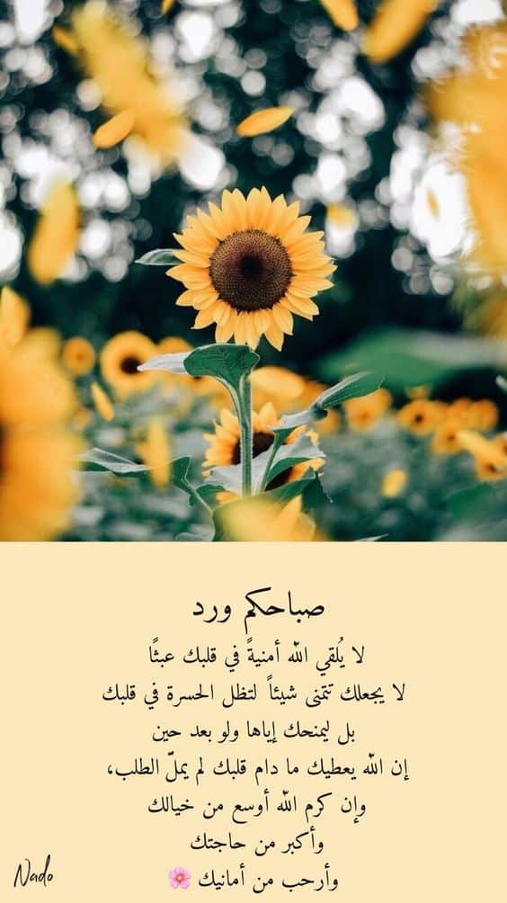 عبارات دينية عن الصباح