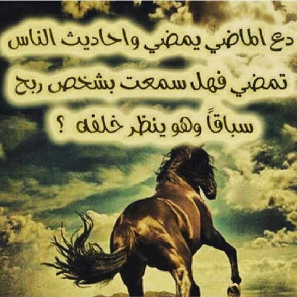 عبارات ذهبية