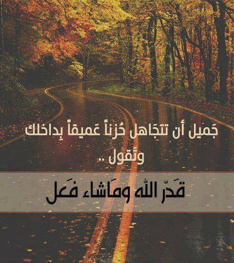 عبارات ساد