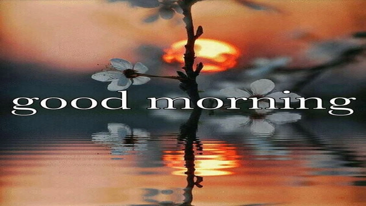 صورة عبارات صباحية ايجابية بالانجليزي