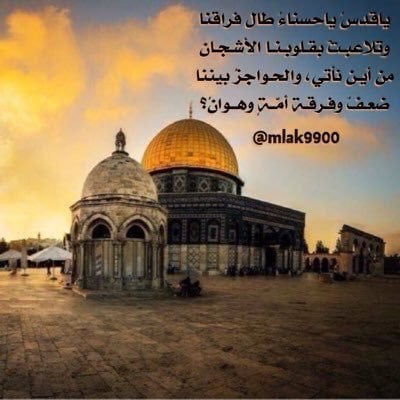 عبارات عن البنت الفلسطينية