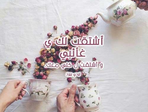 عبارات عن الحب صباح الخير