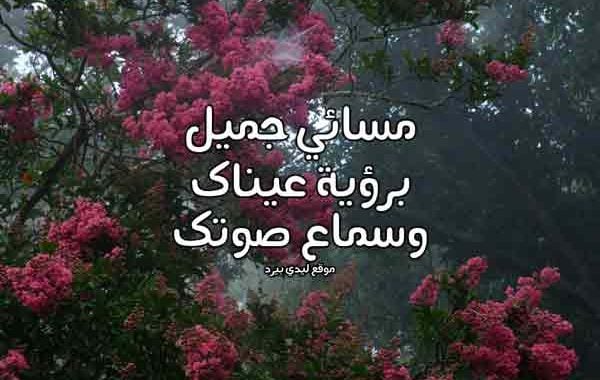 عبارات عن الحب قبل النوم