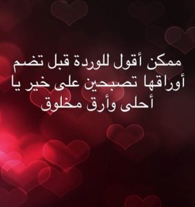 عبارات عن الحب قبل النوم