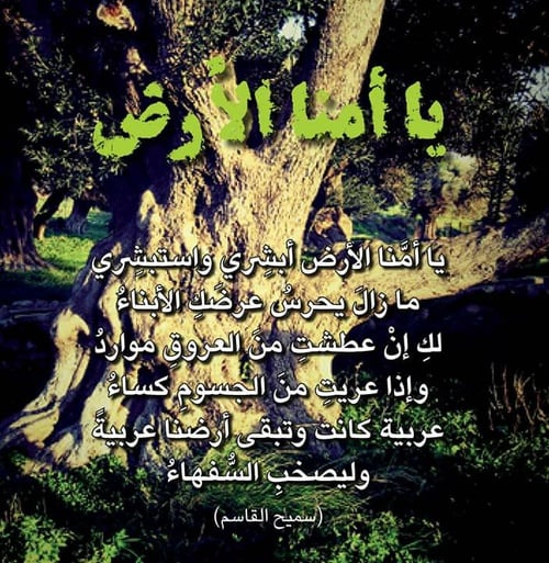 عبارات عن الحب للوطن