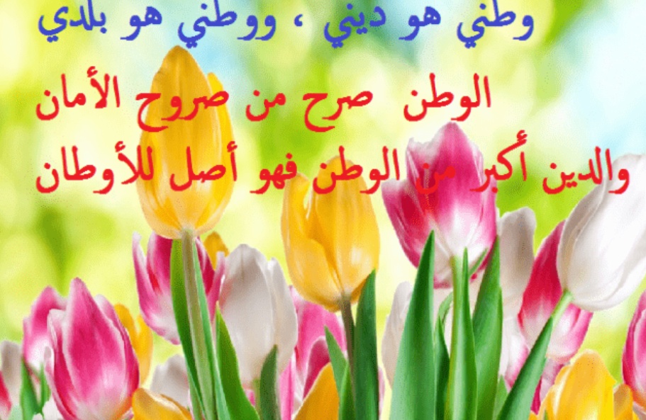 عبارات عن الحب للوطن