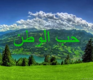 عبارات عن الحب للوطن
