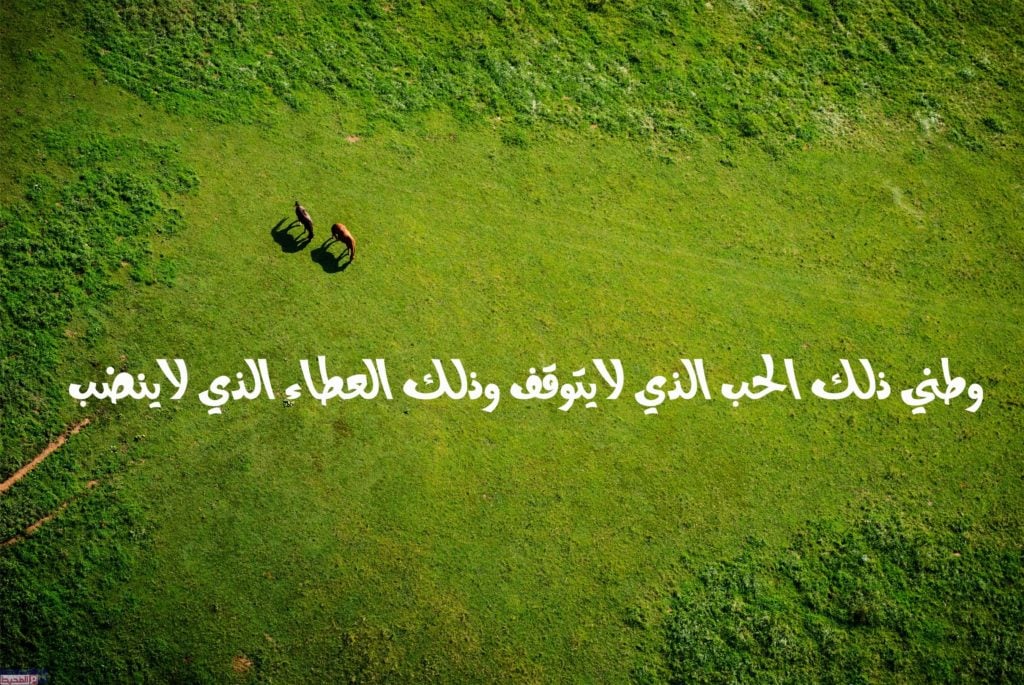 عبارات عن الحب للوطن