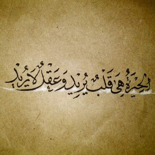 عبارات عن الحياة