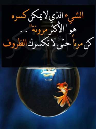 عبارات عن الحياة