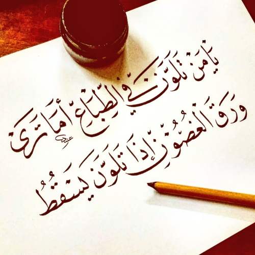 عبارات عن الحياة
