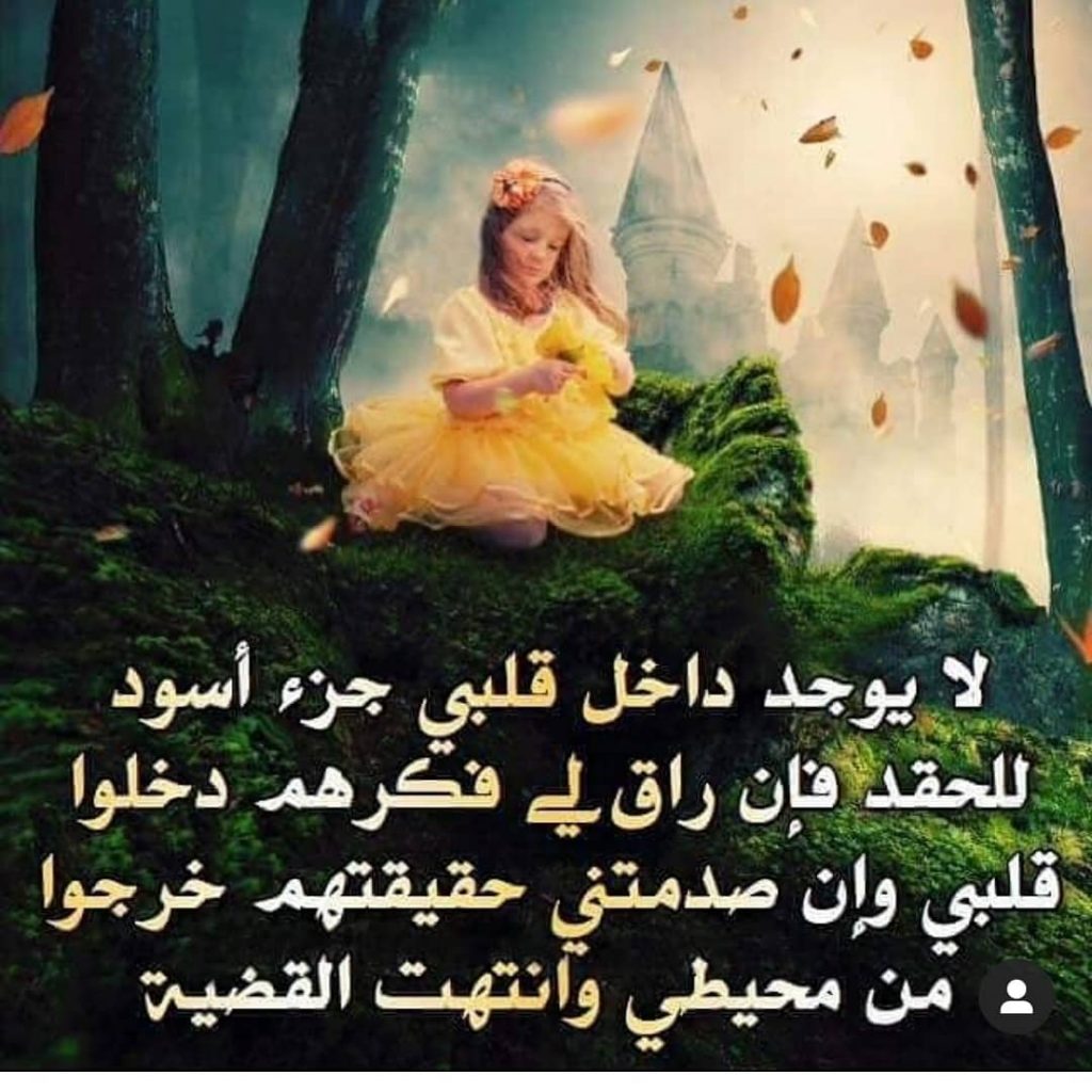 عبارات عن الشخص الحقود