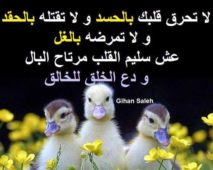 عبارات عن الشخص الحقود