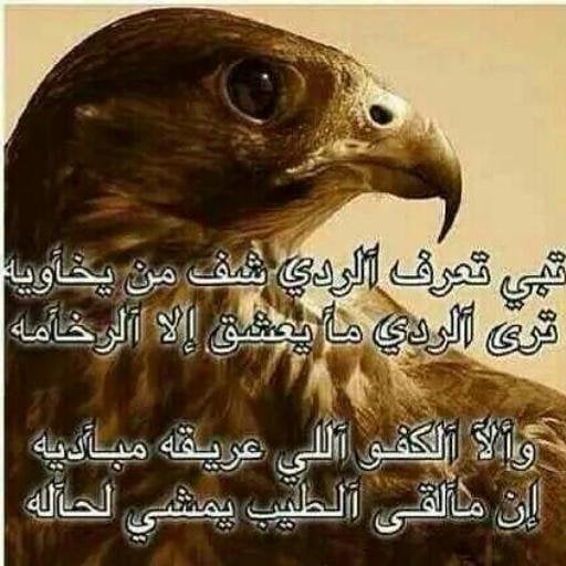 عبارات عن الشخص الردي