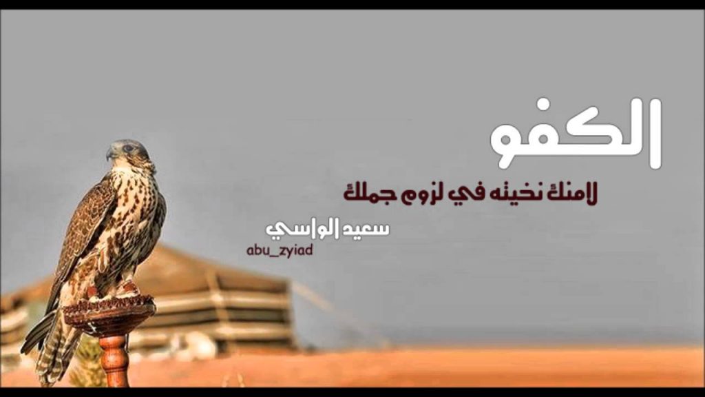 عبارات عن الشخص الكفو