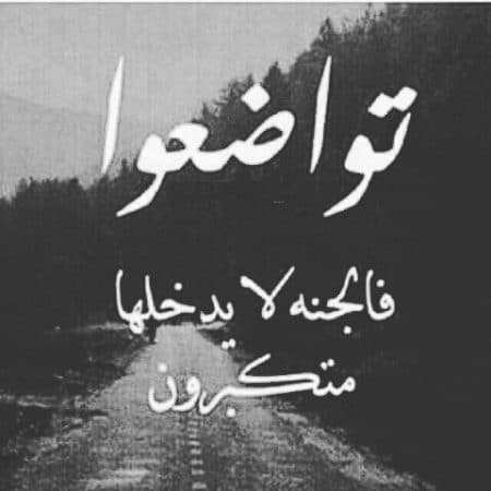 عبارات عن الشخص المتكبر