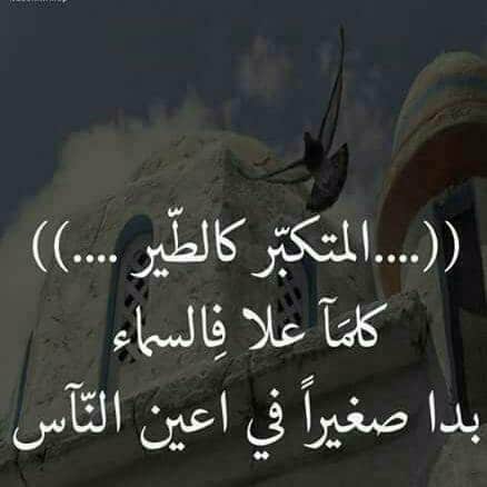 عبارات عن الشخص المتكبر