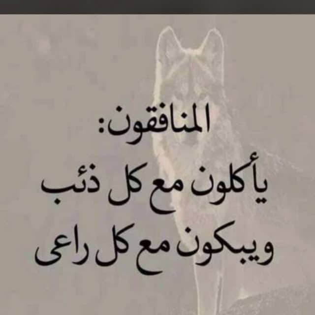 عبارات عن الشخص المنافق