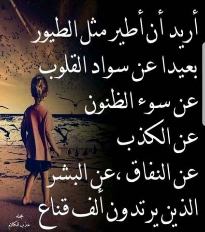 عبارات عن الشخص المنافق