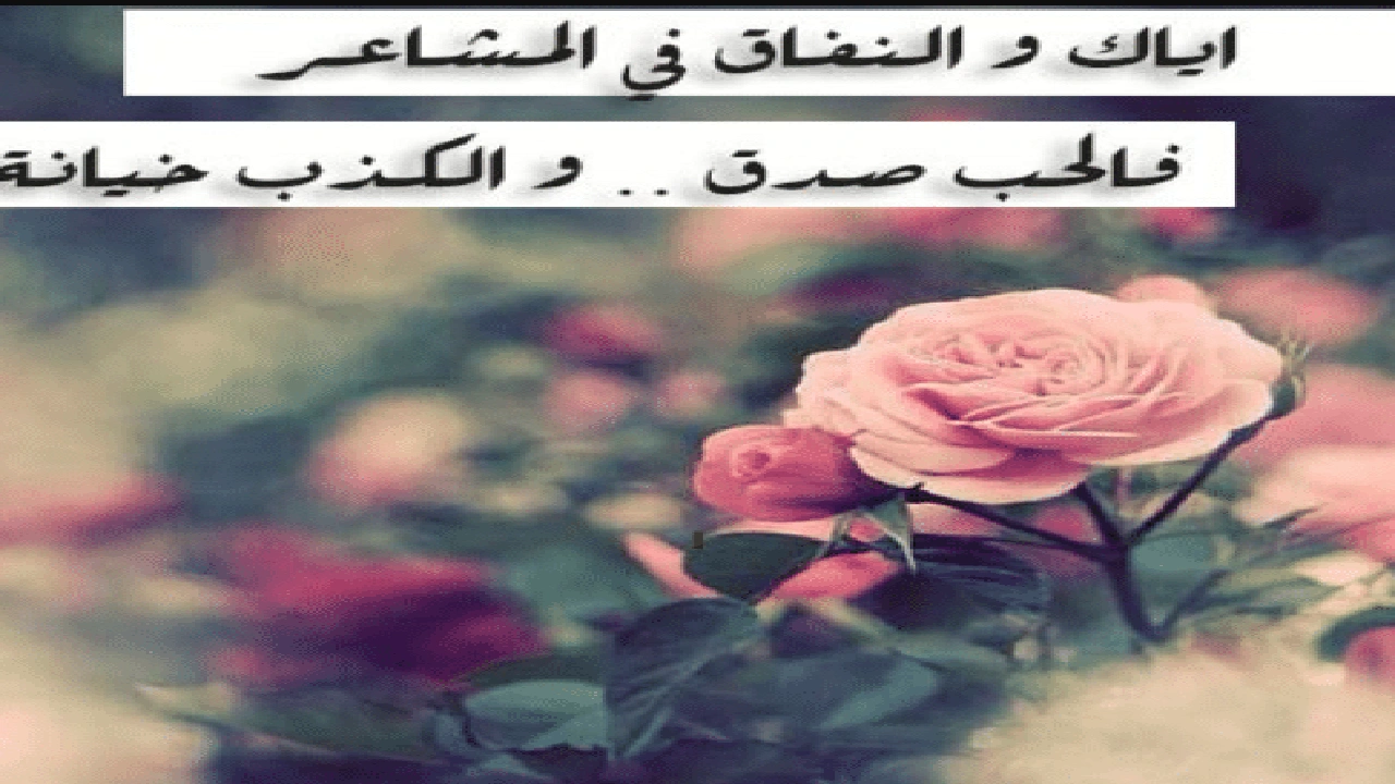 صورة عبارات عن الكذب في الحب