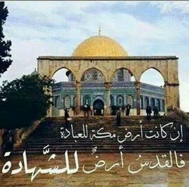 عبارات عن الكوفية الفلسطينية