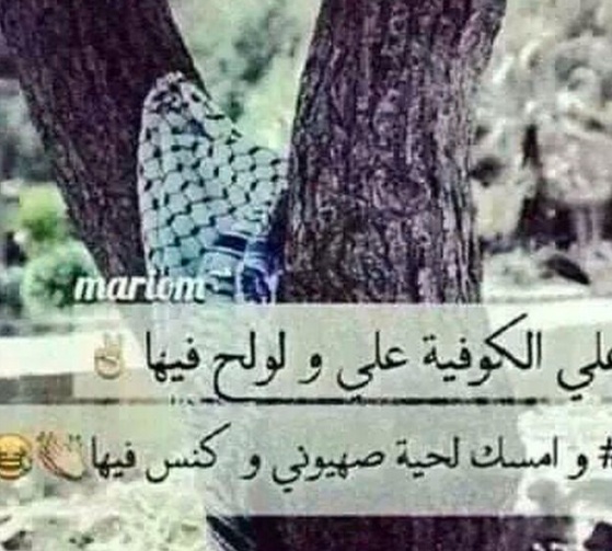 عبارات عن الكوفية الفلسطينية