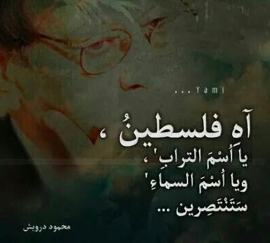 عبارات عن الكوفية الفلسطينية