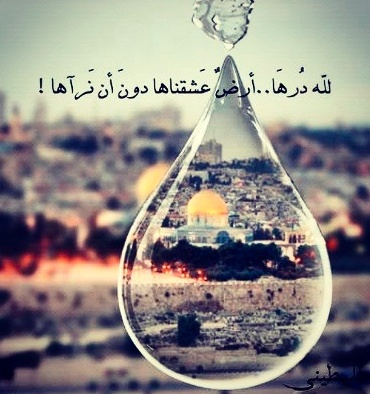 عبارات عن الكوفية الفلسطينية