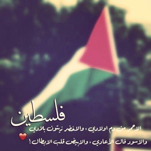 عبارات عن الكوفية الفلسطينية