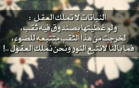 عبارات عن النباتات