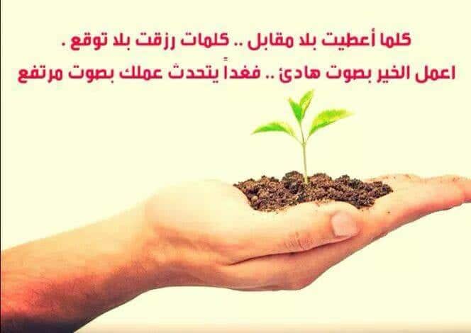 عبارات عن النباتات