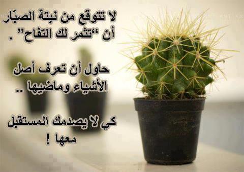 عبارات عن النباتات