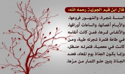 عبارات عن النباتات