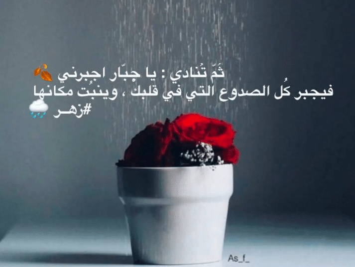 عبارات عن النباتات