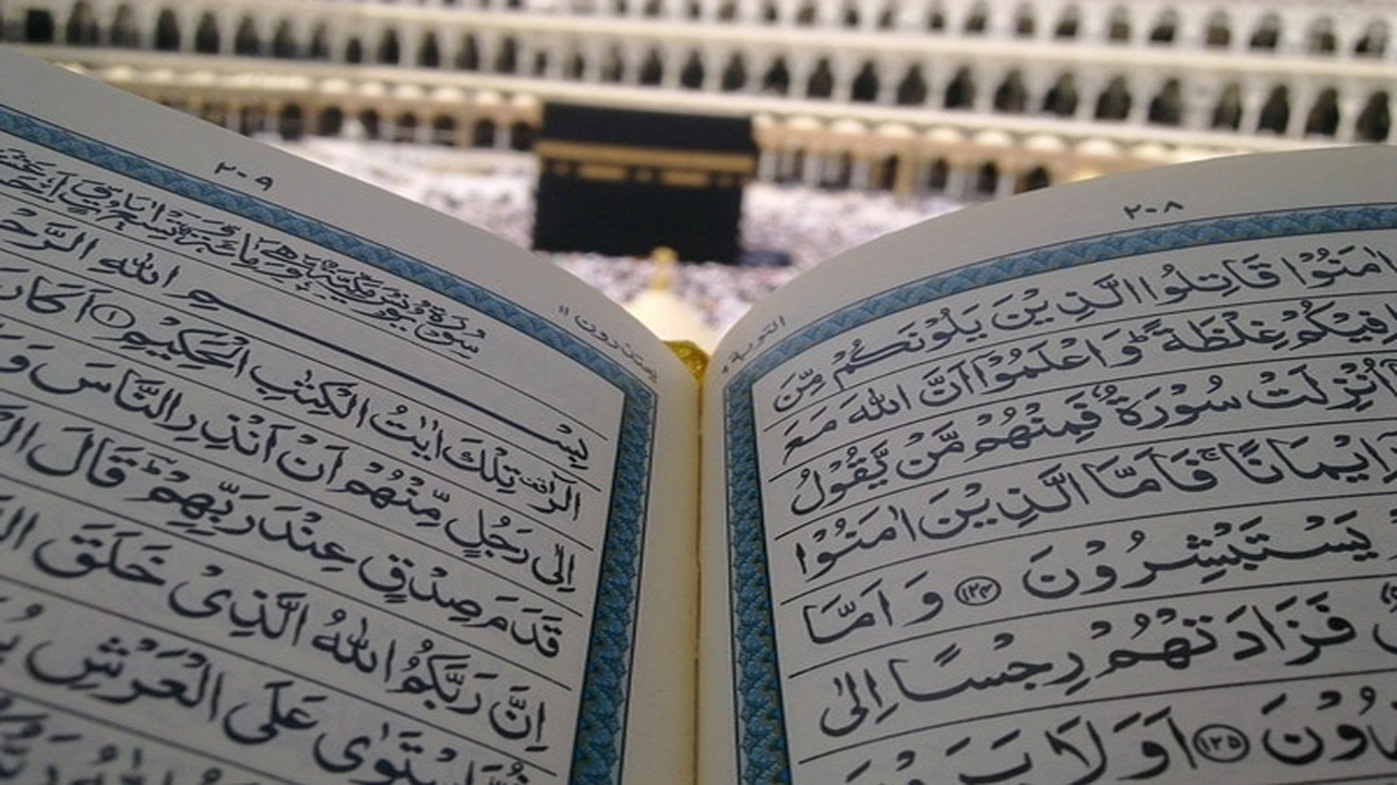 صورة عبارات عن تاج الوقار